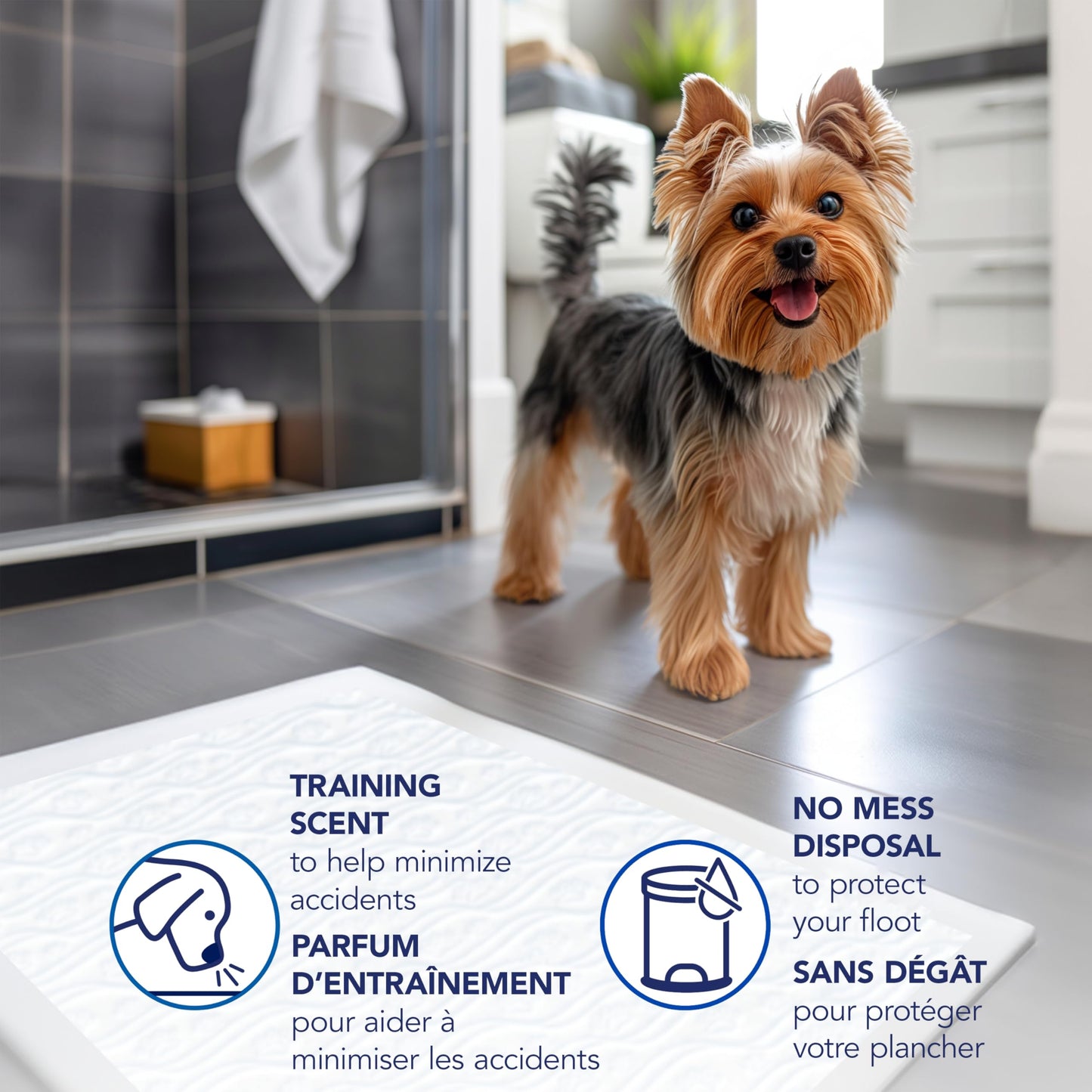 Scott Pet Guard Dog Pads - Dog Training Pee Pads for Puppies, Medium & Large Dogs - Up to 12 Hour Absorbent Odor Control - Easily Disposable Dog Pee Pads - Size XL - 30" x 36" - 40 Pack