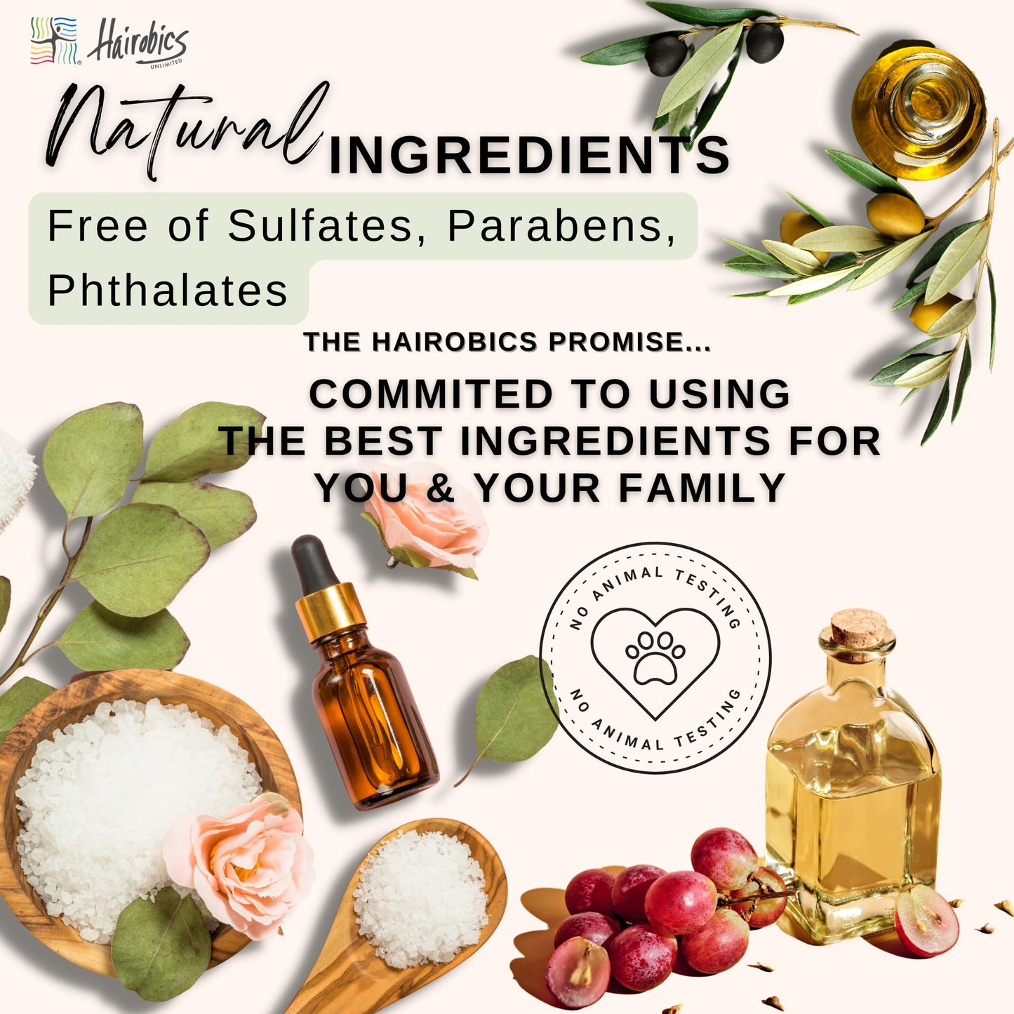 AllDay Locks Braid Foam | Long Lasting Mousse for Style & Shine | No Frizz or Fraying | Moisturizes & Seals Braids, Locks, Twists, Cornrows | 8 oz, 2-pack