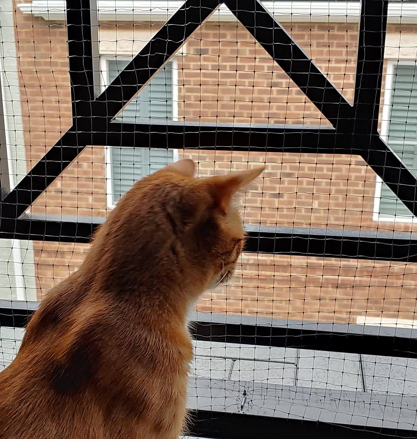 AnExer Cat Balcony Nets, Pets Anti-Fall Mesh Fence Safety Net, Transparent Nylon Pet Mesh Fence Anti-Fall Netting for Balcony Window Stairs Patio