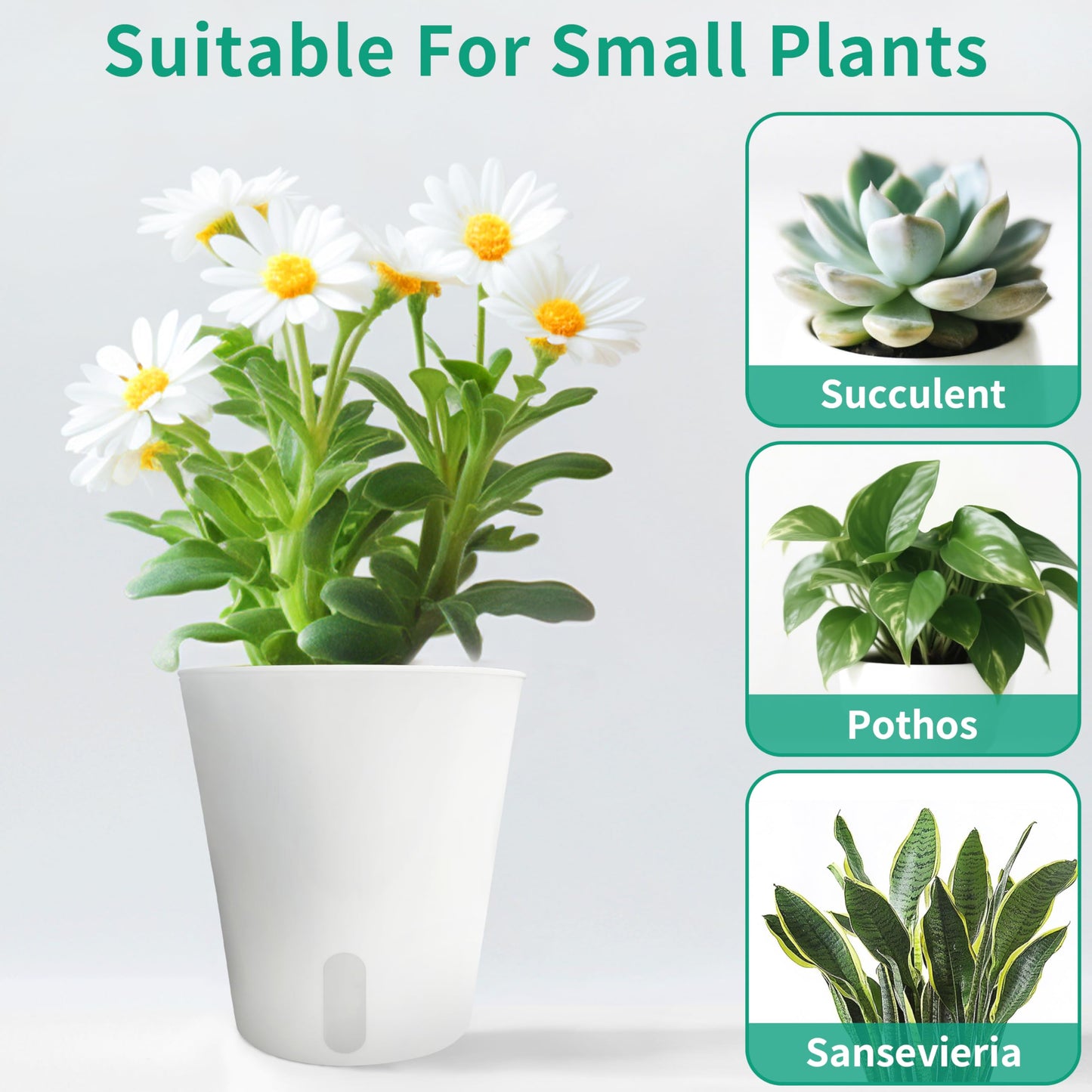 TCBWFY 5" Self Watering Pots for Indoor Plants,5 Sets Self Watering Planter Pots with Visual Water Level Window and Multiple Vents, Plant Pots for All House Plants,Flowers,Herbs,Succulent