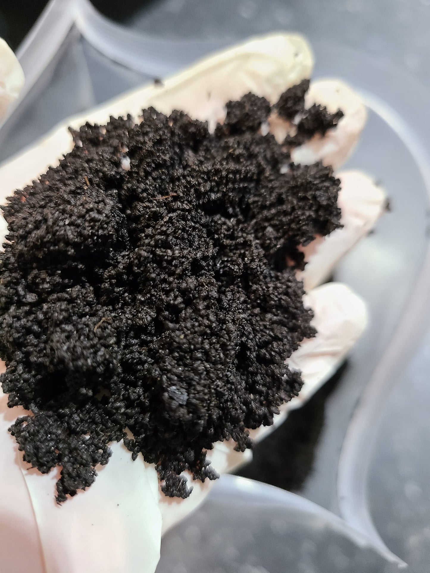 5 litres- Fresh Worm Castings for Plants, Loaded with Beneficial microorganisms, 5 Pounds