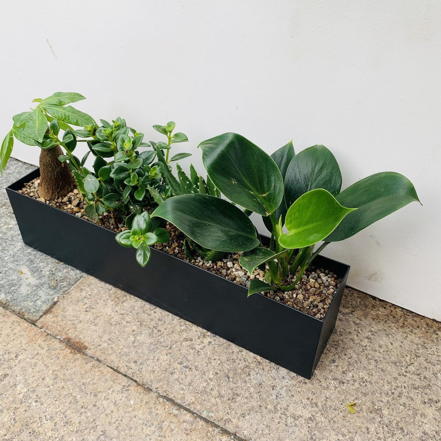 PSOIRGCNH Modern Metal Steel Trough Planter - Rectangle Planters for Indoor Planters - 16" Window Sill Planters - Table or Window Boxes Planter - Windowsill Herb Planter(1pc Short Black)