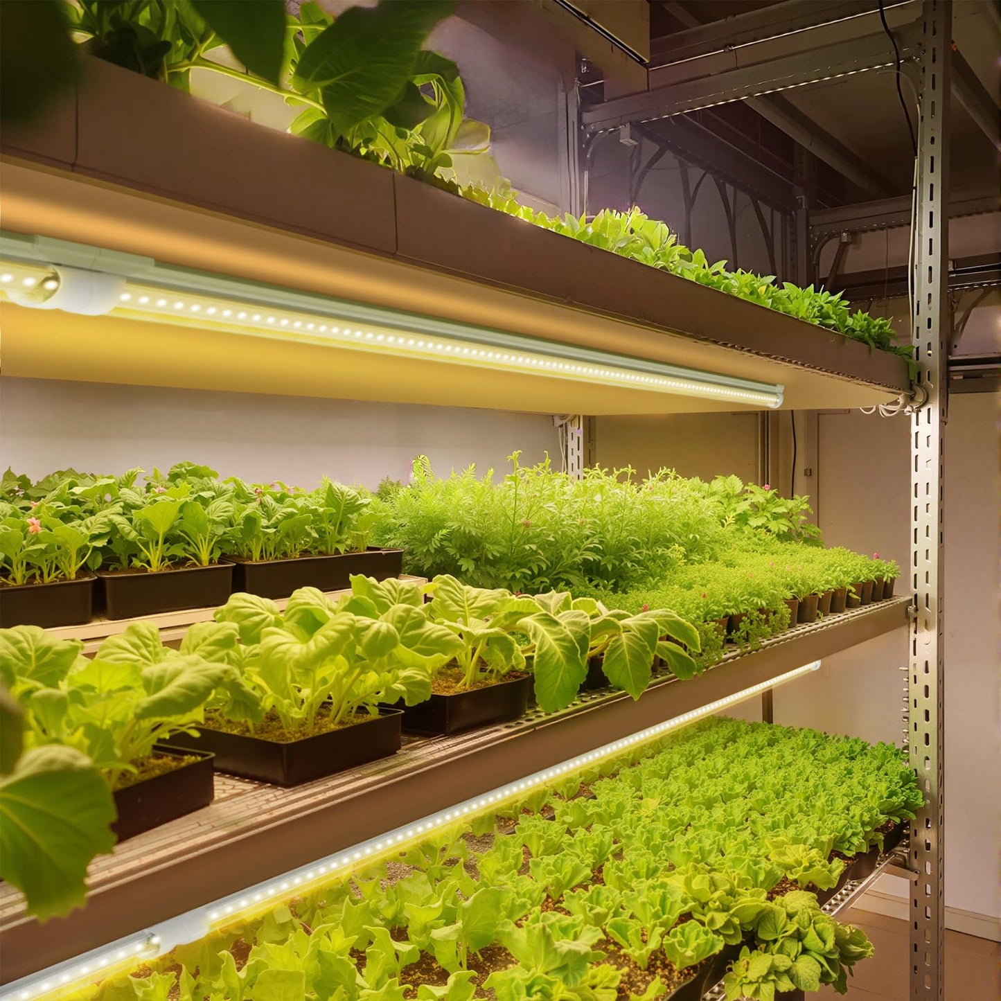 Barrina Grow Light, 252W(6 x 42W, 1400W Equivalent), Full Spectrum, LED Grow Light Strips, T8 Growing Lamp Fixture, Grow Shop Light, with ON/Off Switch, 6 Packs