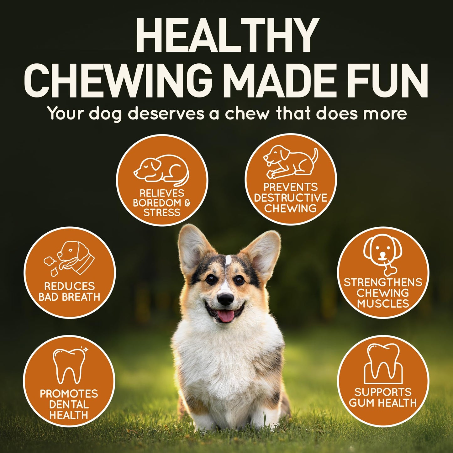 Wildfang® Olive Wood Chewing Sticks for Dogs, L – Tough Chew Toys for Aggressive Chewers, Puppy Chew Toys for Teething, Training for Chewing Muscles, Olive Wood Stick for Dogs Over 25 kg (Pack of 3)