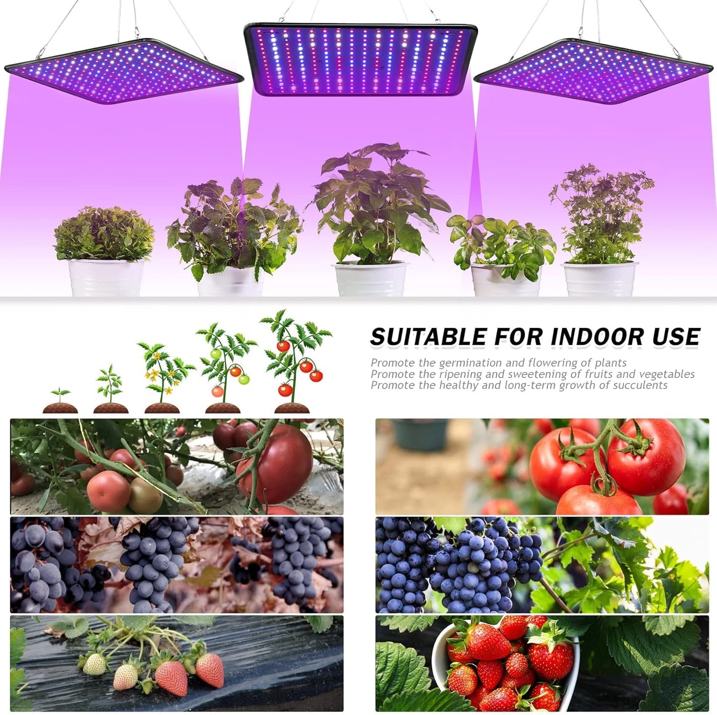 Aokrice LED Grow Light Panel 200W Lamp for Indoor Plants, Full Spectrum with White Blue Red UV IR LEDs for 4x4ft Coverage Grow Tent Greenhouse Veg and Bloom Seedlings Hydroponics (2 Pack)
