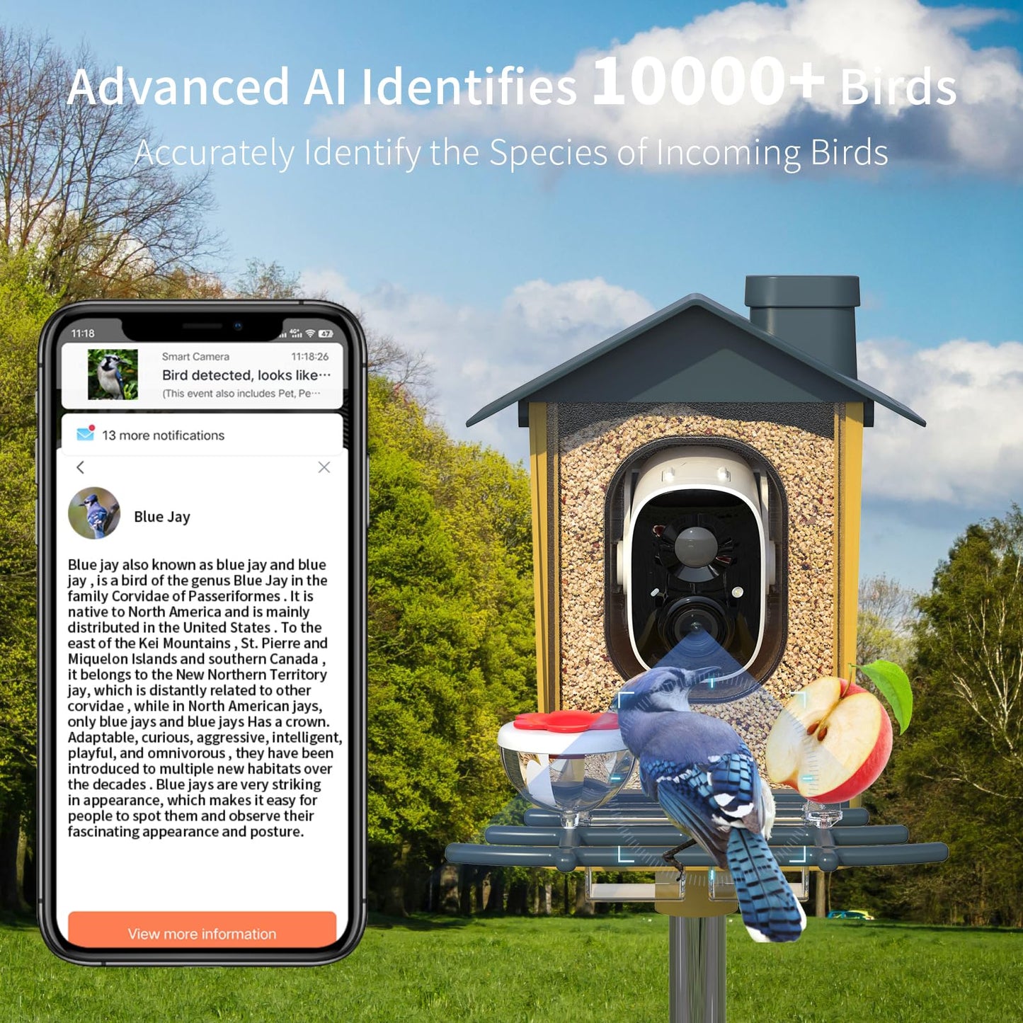 oddkont Bird Feeder with Camera - Smart Bird Feeder Camera with AI Identify Bird Species, Auto Record Bird Video, Instant Notifications, 2K Video Live Stream Camera with Solar Panel for Birds Lover