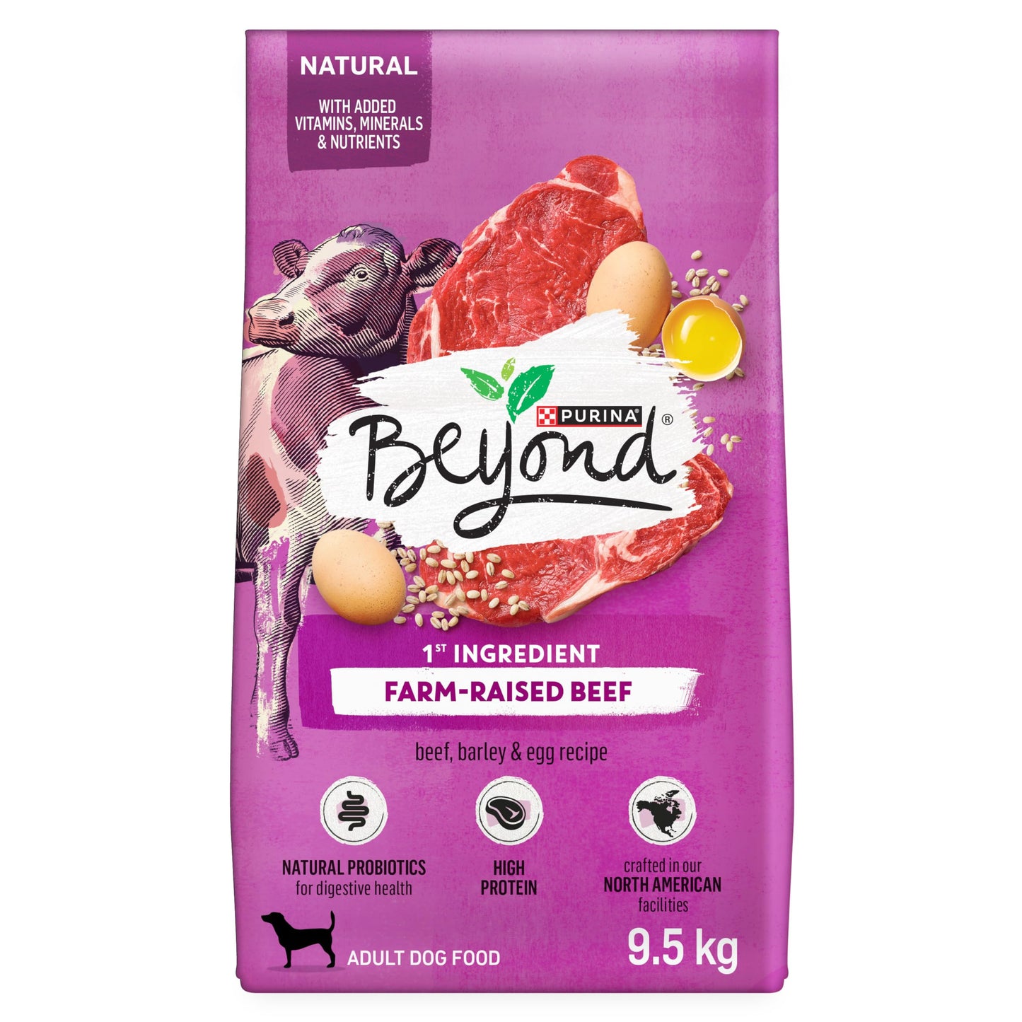 Beyond Simply Natural Dry Dog Food, Farm-Raised Beef, Barley & Free Run Egg - 9.5 kg Bag