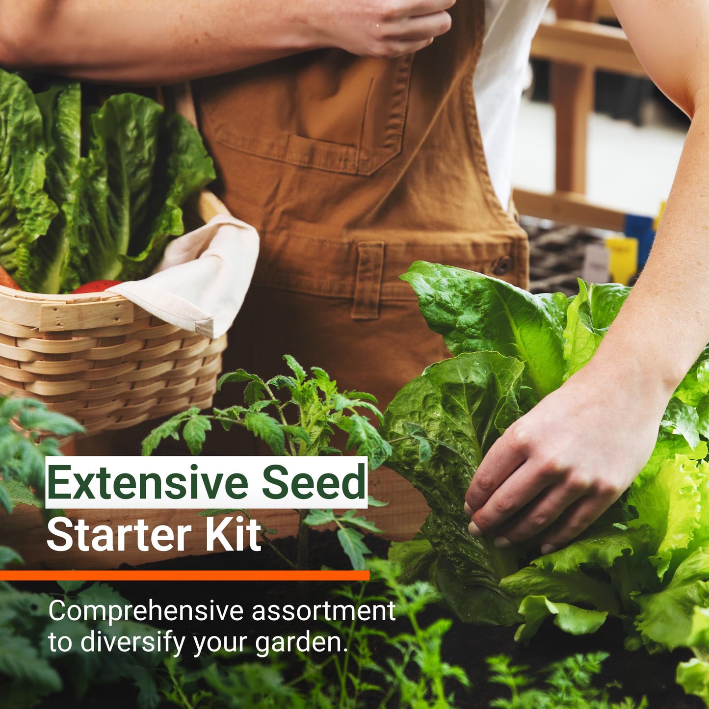 15,000+ Non-GMO Heirloom Vegetable Seeds 32 Variety Pack by Open Seed Vault