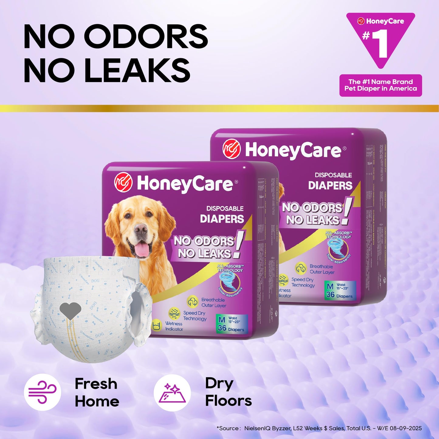 HONEY CARE All-Absorb Disposable Female Dog Diapers M Size, Improved Bigger Size, 36 Count, Super Absorbent, Breathable, Wetness Indicator (Pack of 1, 36 Count Total)