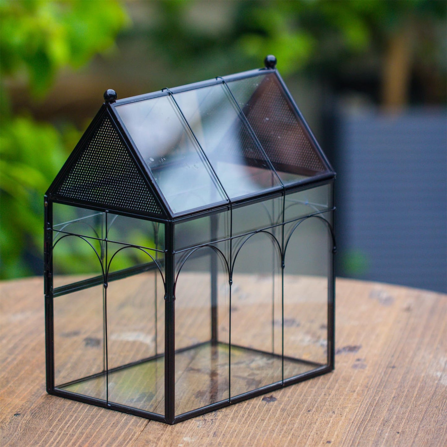 NCYP Glass Enclosure with Vent Holes for Insect, Spiders, Snails - 19 x 12.5 x 23 cm Small Closed Front Opening Door Succulent Terarium - House Shape Habitat, Home Decor Black (No Plants)