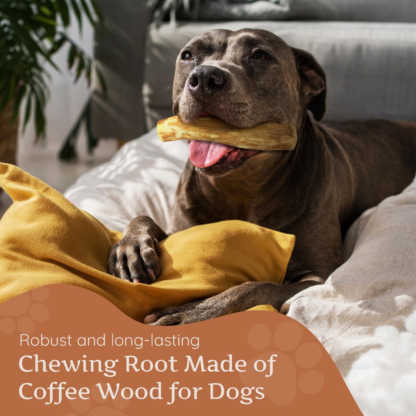 Wildfang® Coffee Wood Dog Chew, L – Durable Chew Toy for Aggressive Chewers, Puppy Teething Toy, Helps Strengthen Chewing Muscles, Coffee Tree Stick for Large Dogs 25–45 kg (Pack of 3)