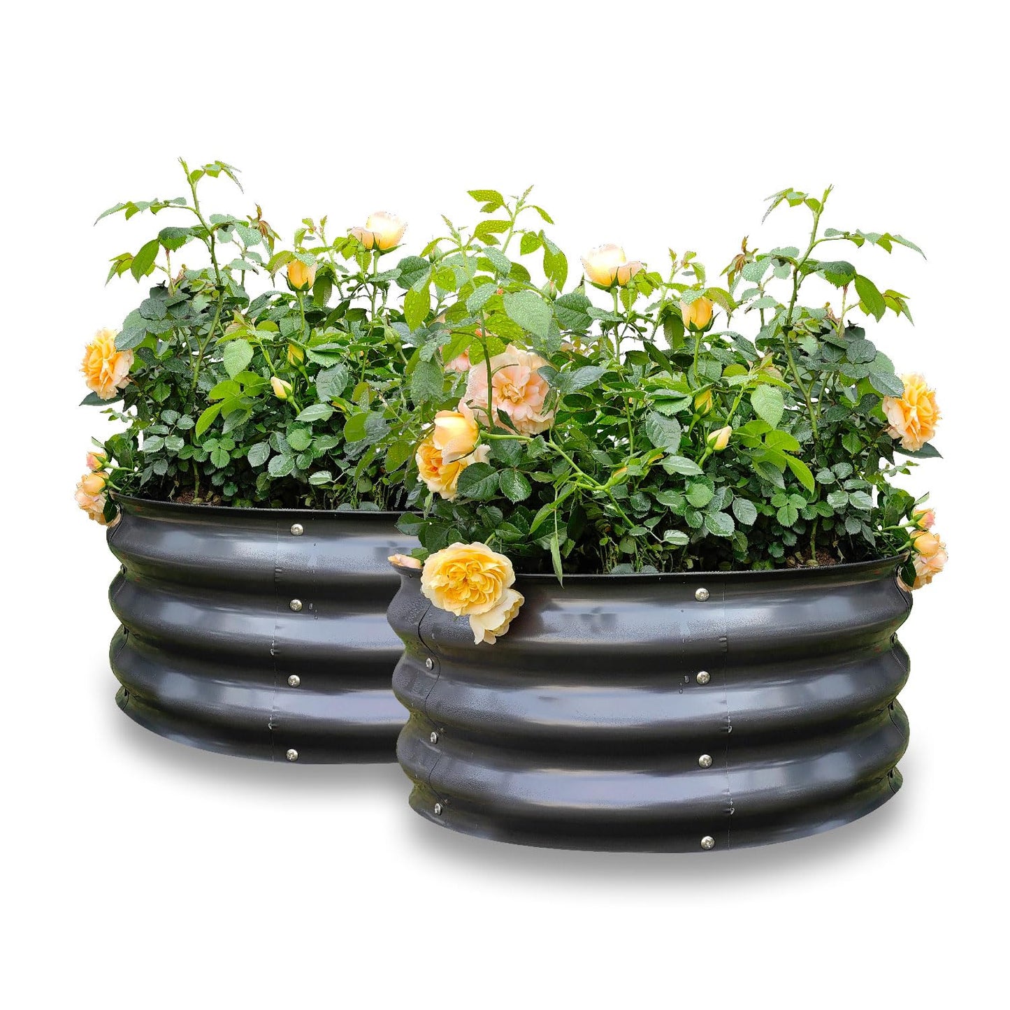 Gardmax 2 Pack 2x2x1FT Galvanized Round Raised Garden Bed Kit, Metal Planter Boxes Outdoor with Easy Assembly, Large Garden Bed for Vegetables, Fruits, Flower, Herbs Dark Gray