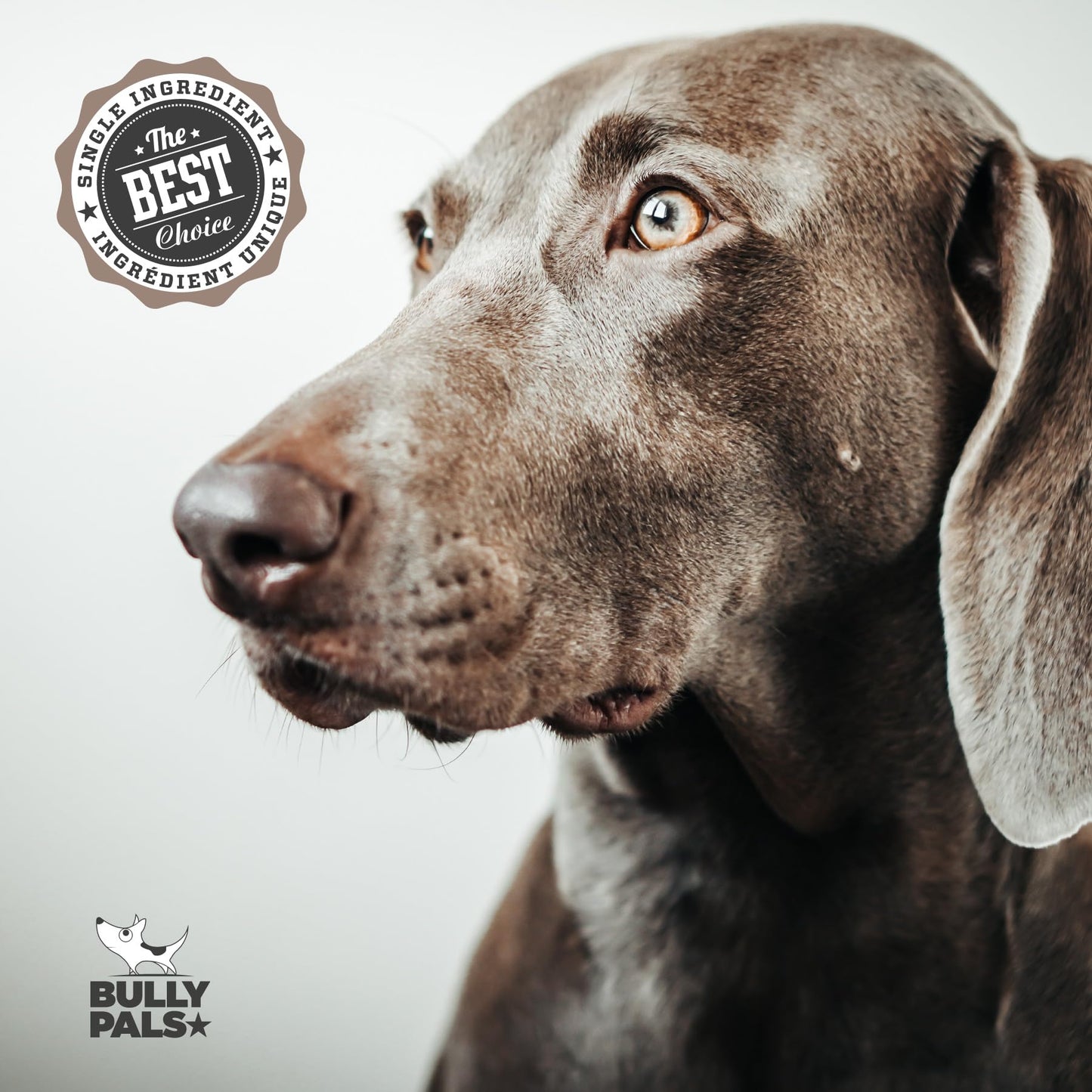 BULLY PALS - 12 inch Braided Beef Collagen Sticks for Medium to Large Dogs - Dog Dental Chew - 5 Pack - Odour Free, Rawhide Free, Long Lasting Alternative to Bully Sticks, All Natural, Protein Rich