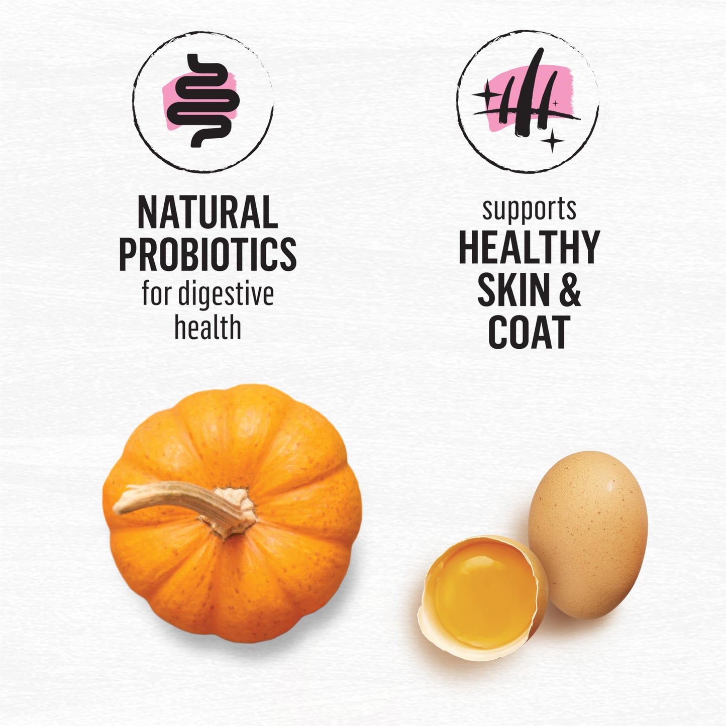 Beyond Superfood Blend Natural Dry Dog Food, Wild Caught Salmon, Egg & Pumpkin - 10.2 kg Bag