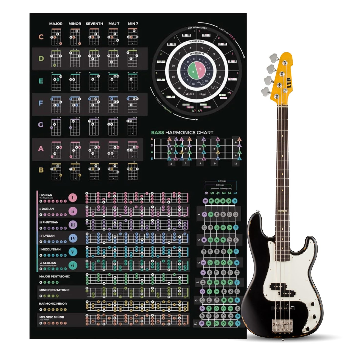 Musiciangoods Bass Theory Cheat Sheet Poster - Chords, Scales, Fretboard Notes & Circle of Fifths Guide - Music Theory for Bass Players - 24" x 36"