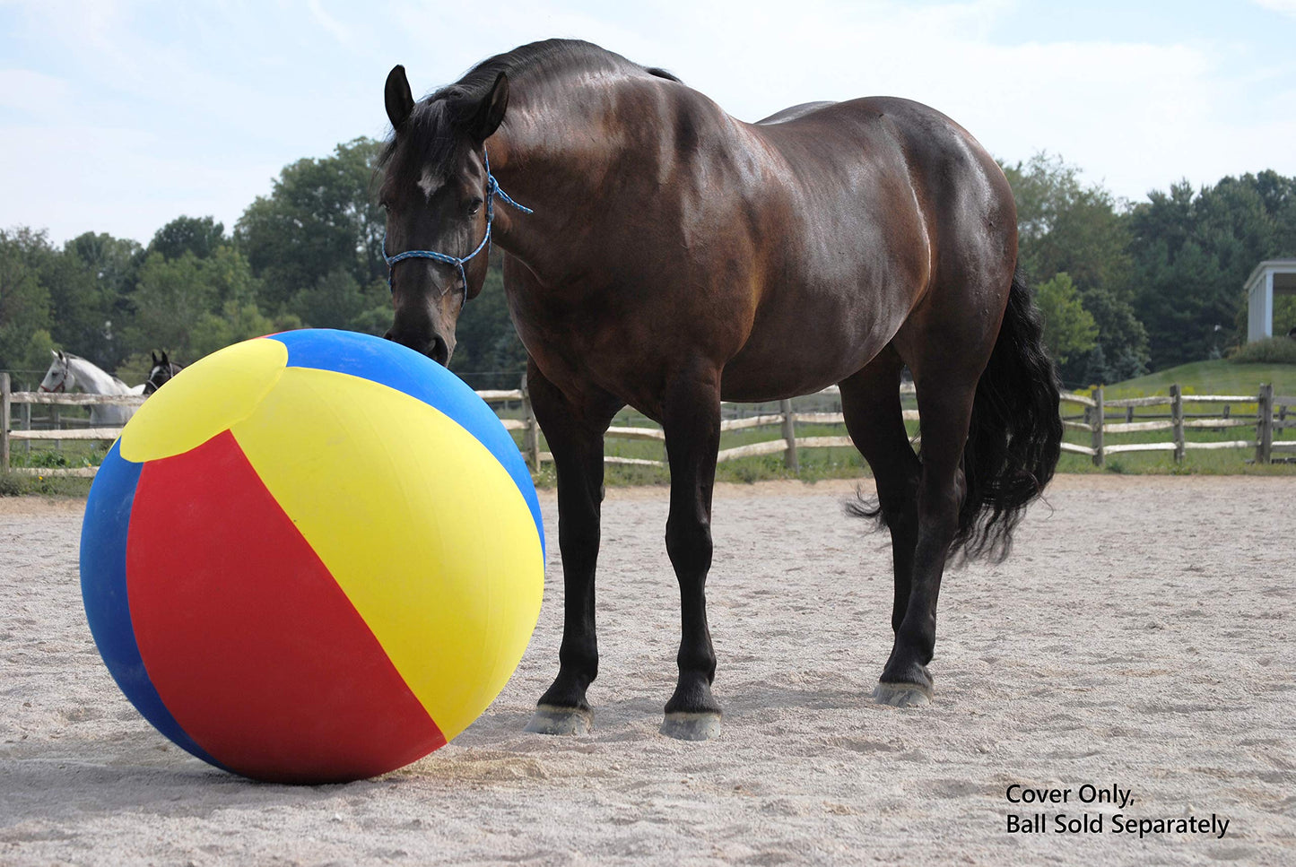 Horsemen's Pride Mega Beach Ball Cover, 40-Inch