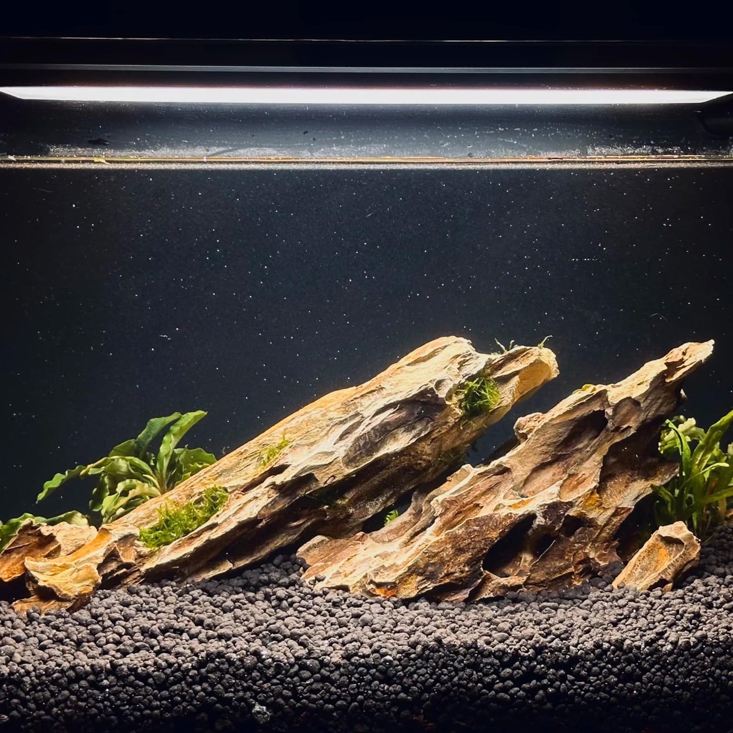 ChaoLeHo Dragon Rocks Aquariums Stones Natural Rocks for Aquascaping, Aquariums, Terrariums, Vivariums Decorative Stone,Reptile Enclosures,Paludariums,and Gardens-10LB（2 to 7 inch）