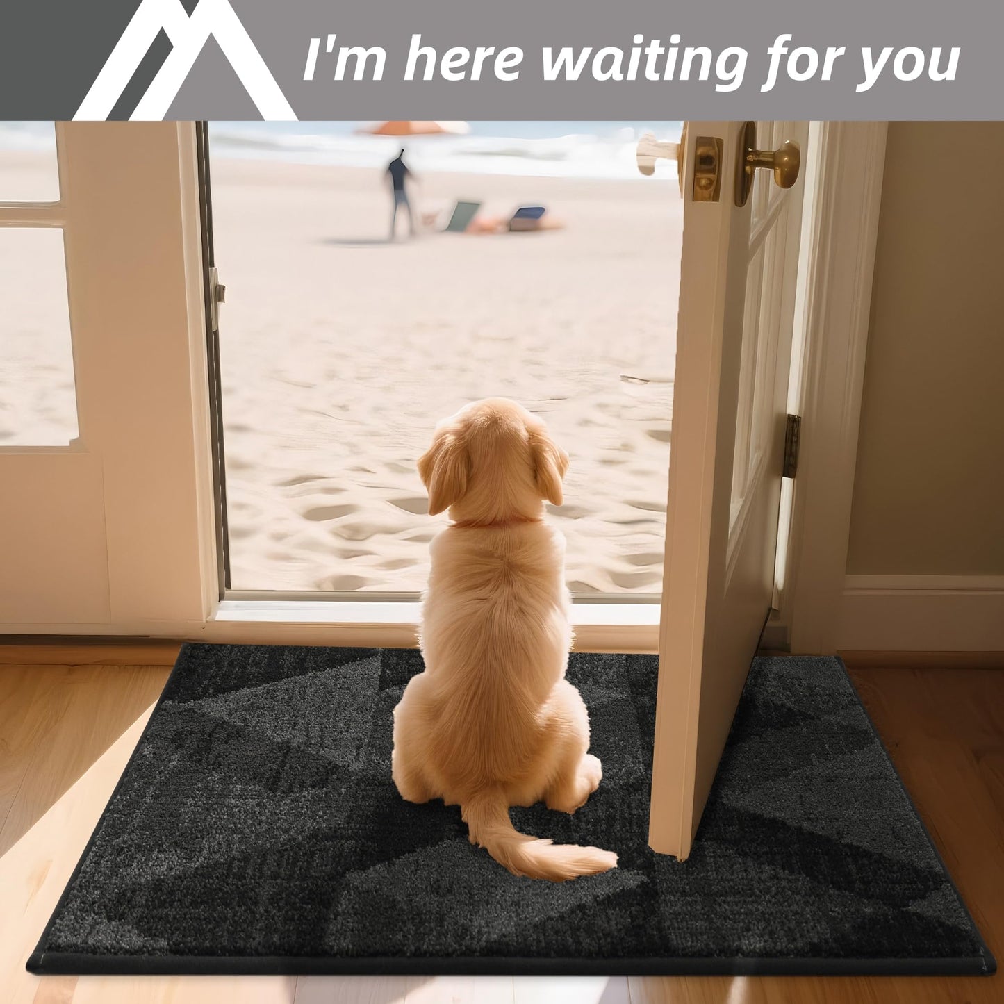 COSY HOMEER Door Mat Entrance, 32"x48" Non-Slip Absorbent Doormat for Front Door, Low Profile Dirt Trapper Entryway Mat, Washable Rugs for Paws & High Traffic Areas, Dark Gray