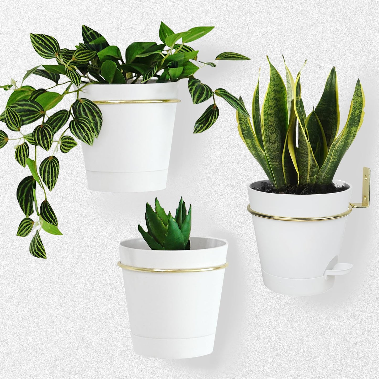 Bouqlife Wall Planters for Indoor Plants 3 Pack 6 Inch Flower Pot Holders Metal Ring with Self Watering Pots Wall Hanging Planters Gold-White