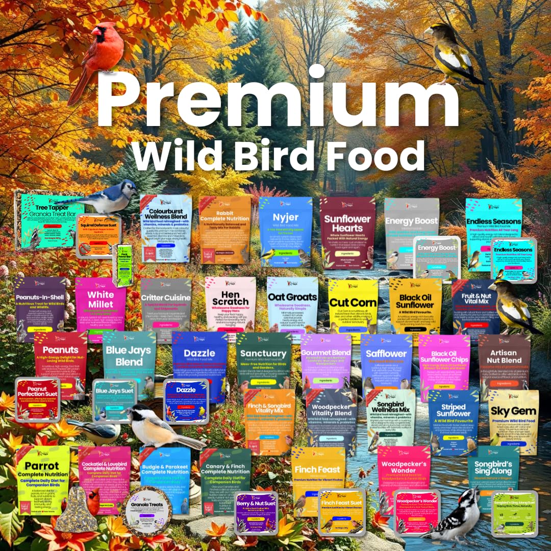 Chirp & Maple, Peanuts for Wild Birds, No Shell, Wild Bird Food, 4.5KG (10LB) Bag