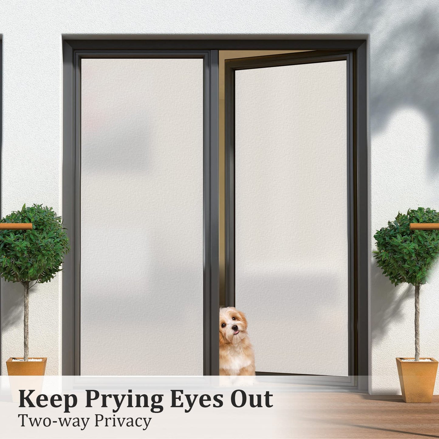 Coavas Window Films for Privacy Window Film Frosted Static Cling Non Adhesive Vinyl Sticker Sun Heat Blocking Window Coverings for Bathroom Home Office Door 23.6x78.7 Inch,60x200cm, Pure Frosted