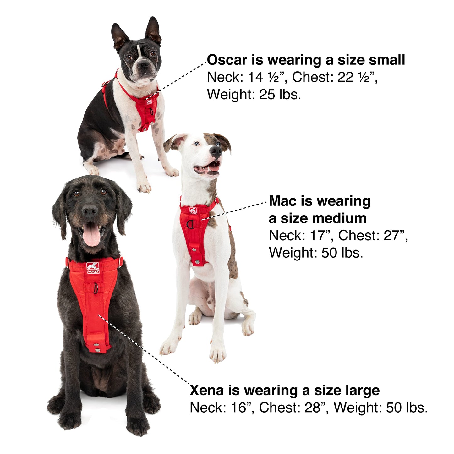 Kurgo Tru-Fit Enhanced Strength Dog Harness, Crash Tested Car Safety Harness for Dogs, Includes Pet Safety Seat Belt, Steel Nesting Buckles, Front D-Ring for No Pull Training, L, Black