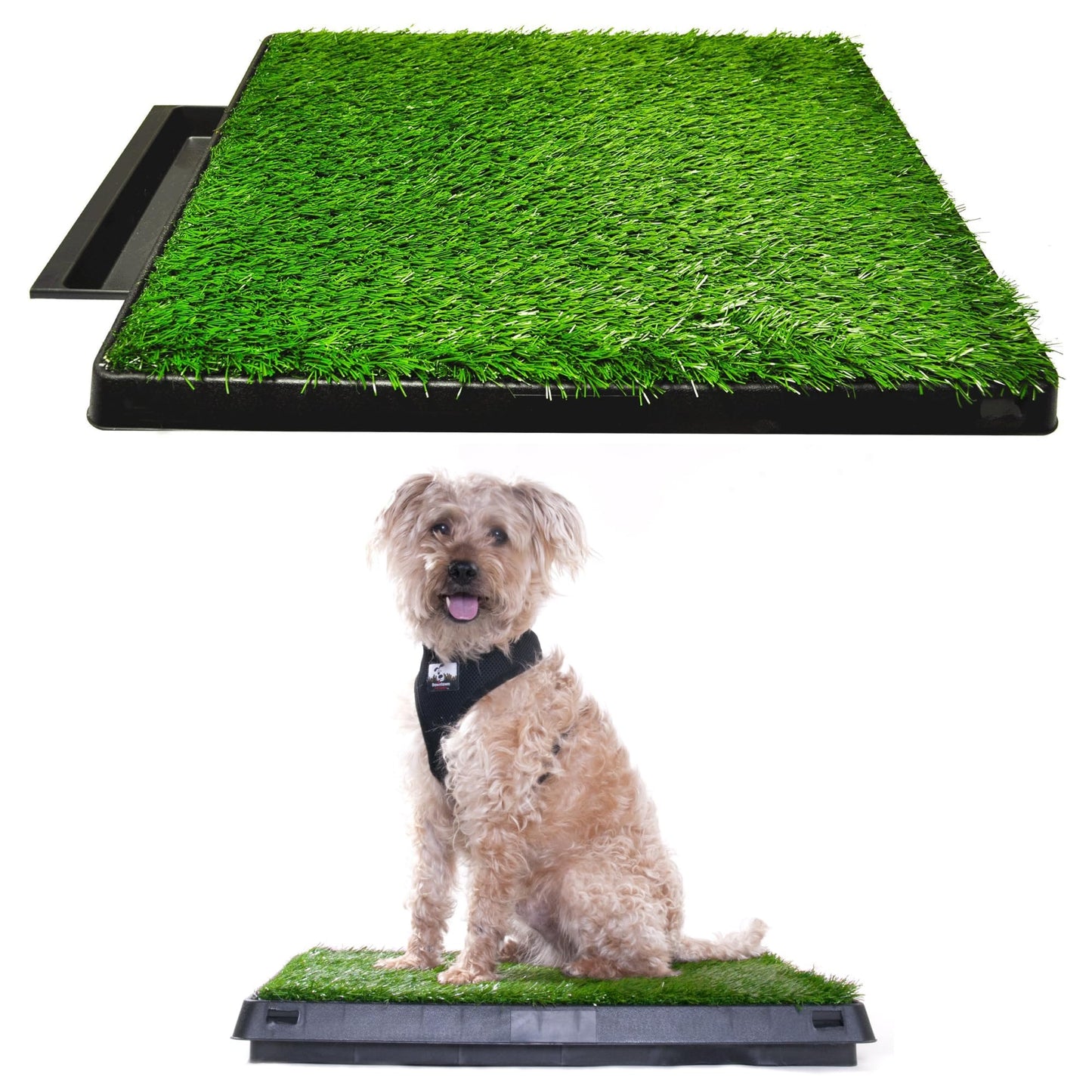 Downtown Pet Supply Dog Pee Potty Pad, Bathroom Tinkle Artificial Grass Turf, Portable Potty Trainer (20 x 25 Inch with Drawer)