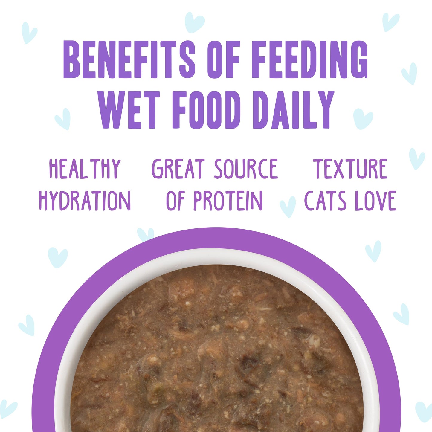 B.F.F. OMG - Best Feline Friend Oh My Gravy!, Best Day Eva! with Beef & Salmon in Gravy Cat Food by Weruva, 2.8oz Can (Pack of 12)