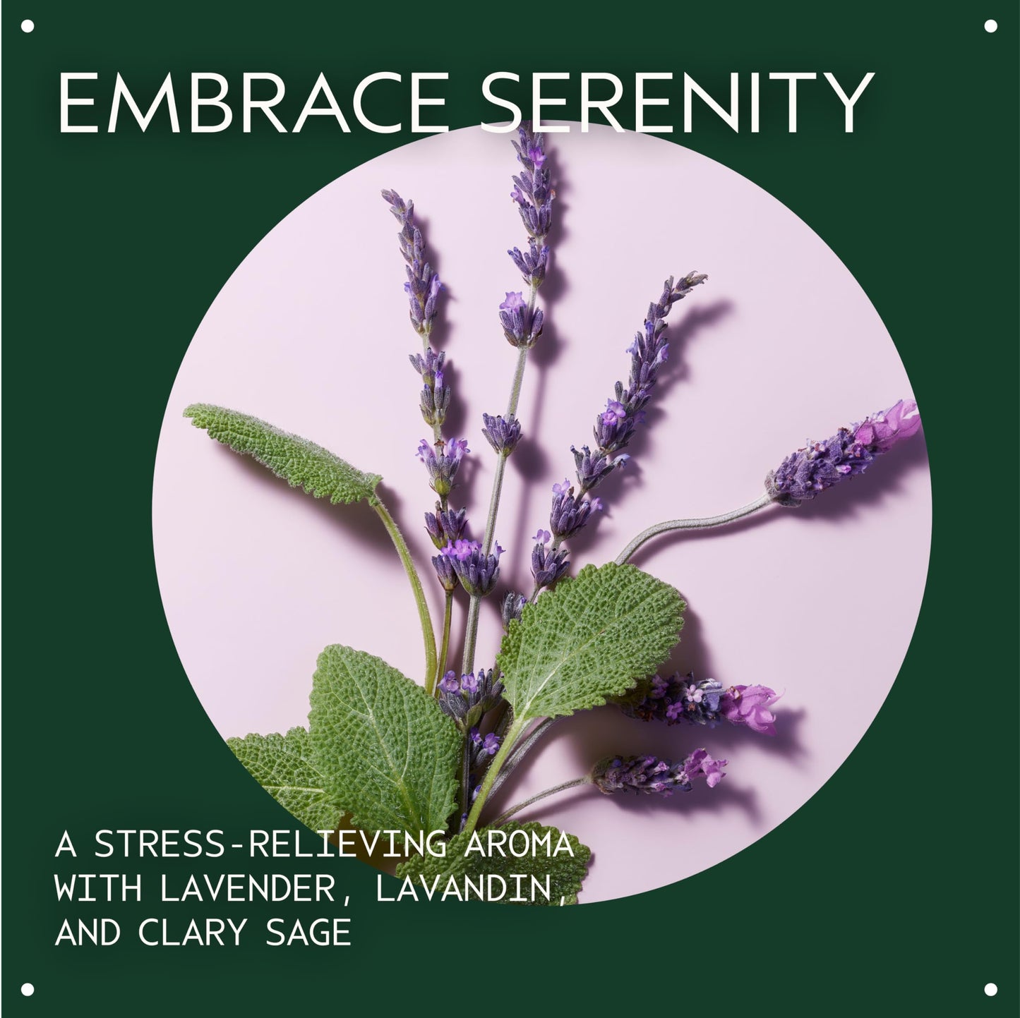 Aveda Stress-Fix Composition Oil | Bath, Body & Scalp Oil | Shown to Reduce Feelings of Stress | with Aroma of Lavender, Lavandin, Clary Sage, 50ml