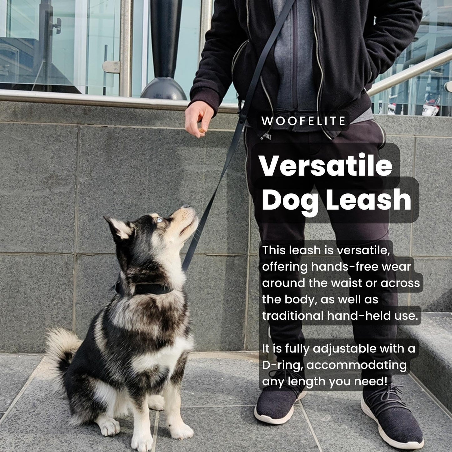 WOOFELITE Hands-Free Adjustable Waterproof Dog Leash 7 FT / 8 FT (Black, 8 FT)