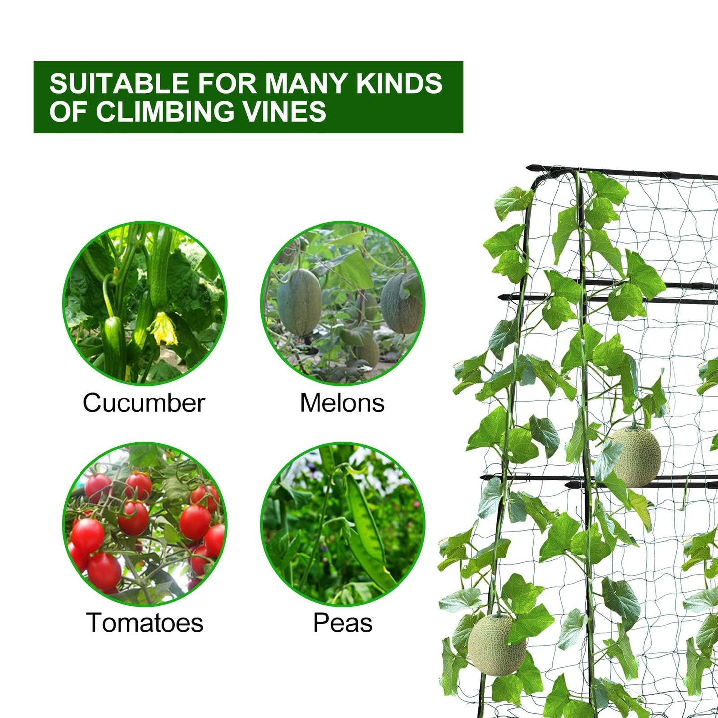 FOLLOOK Cucumber Trellis for Garden, 63" Tall Metal Pea Tunnel Garden Arch Trellis for Climbing Plants Outdoor, A Frame Trellis Support Vegetables Squash Cucumber Trellis for Raised Bed, Lightweight