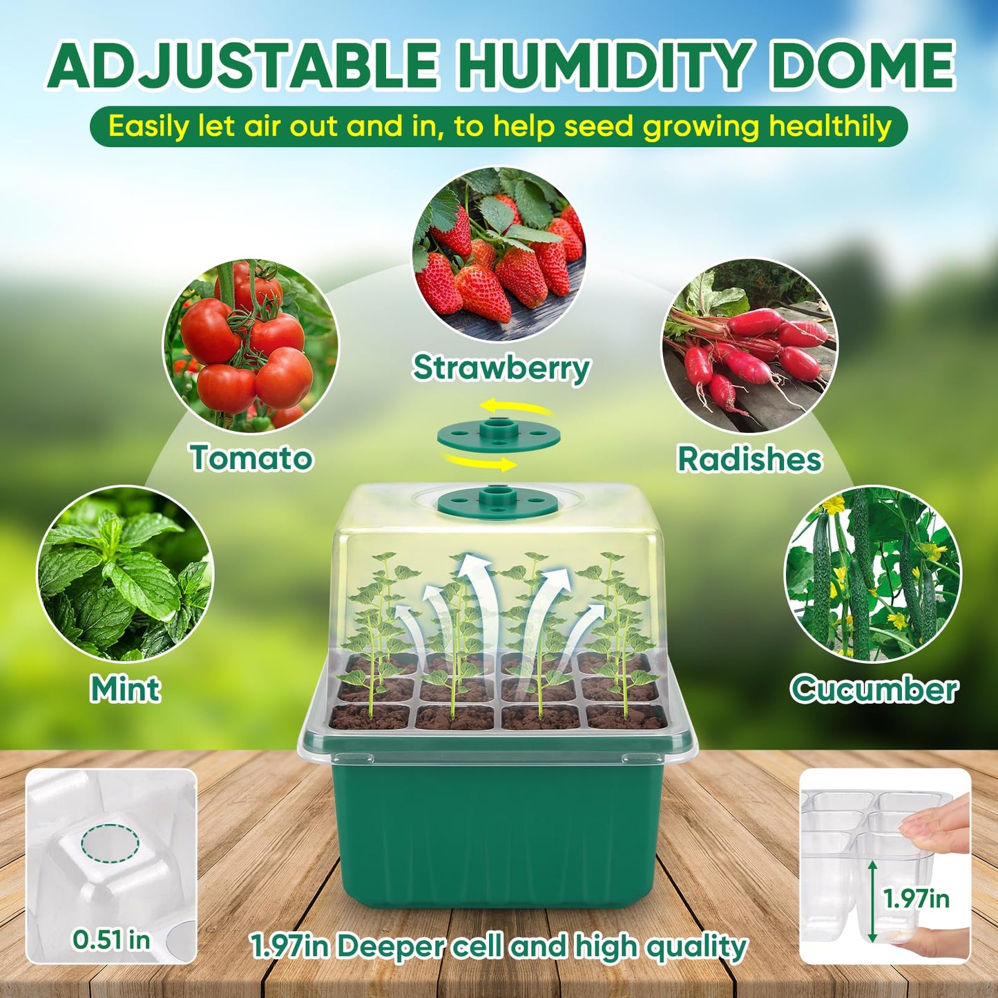 BlumWay Self-Watering Seed Starter Tray with Grow Light,5 Pack 60 Cell Seed Starter Kit with Humidity Dome for Seed Starting,Reusable Plant Germination Trays for Indoor Gardening Seed Growing Seedling