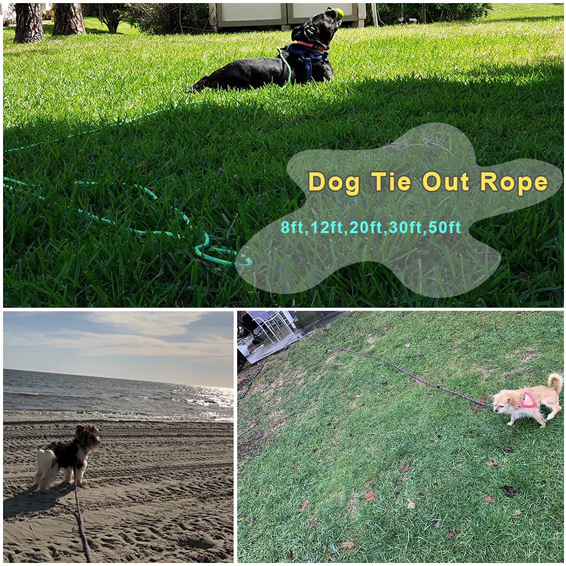 BTINESFUL 12ft/20ft/30ft/50ft Tie-Out Check Cord Long Rope Dog Leash, Recall Training Lead Leash- Great for Large Medium Small Dogs Training, Playing, Camping, or Backyard, Green-20ft