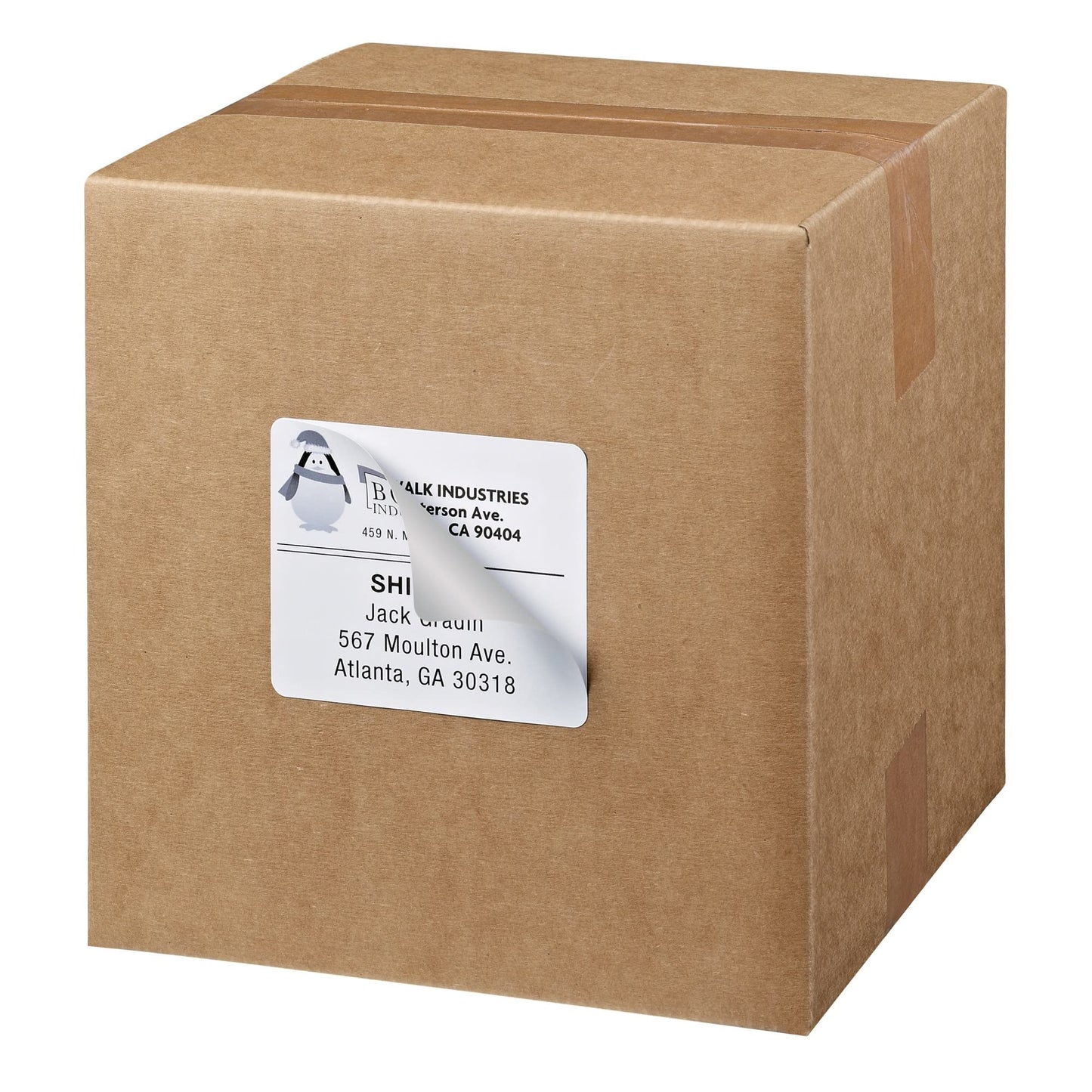 TrueBlock(R) Shipping Labels with Sure Feed(TM), 600/BX