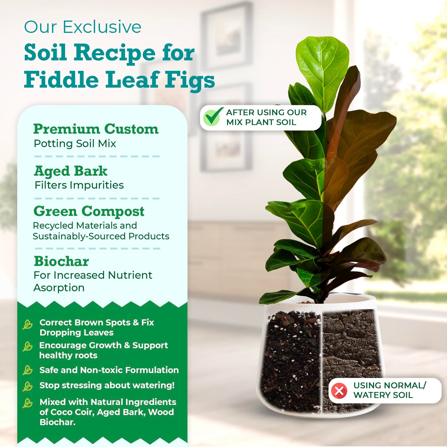 100% Organic Fiddle Leaf Fig Soil – Optimally-Draining Potting Mix for Healthy Roots, Fewer Brown Spots & Faster Growth | Enriched with Biochar & Bark | Large 7.5L Bag