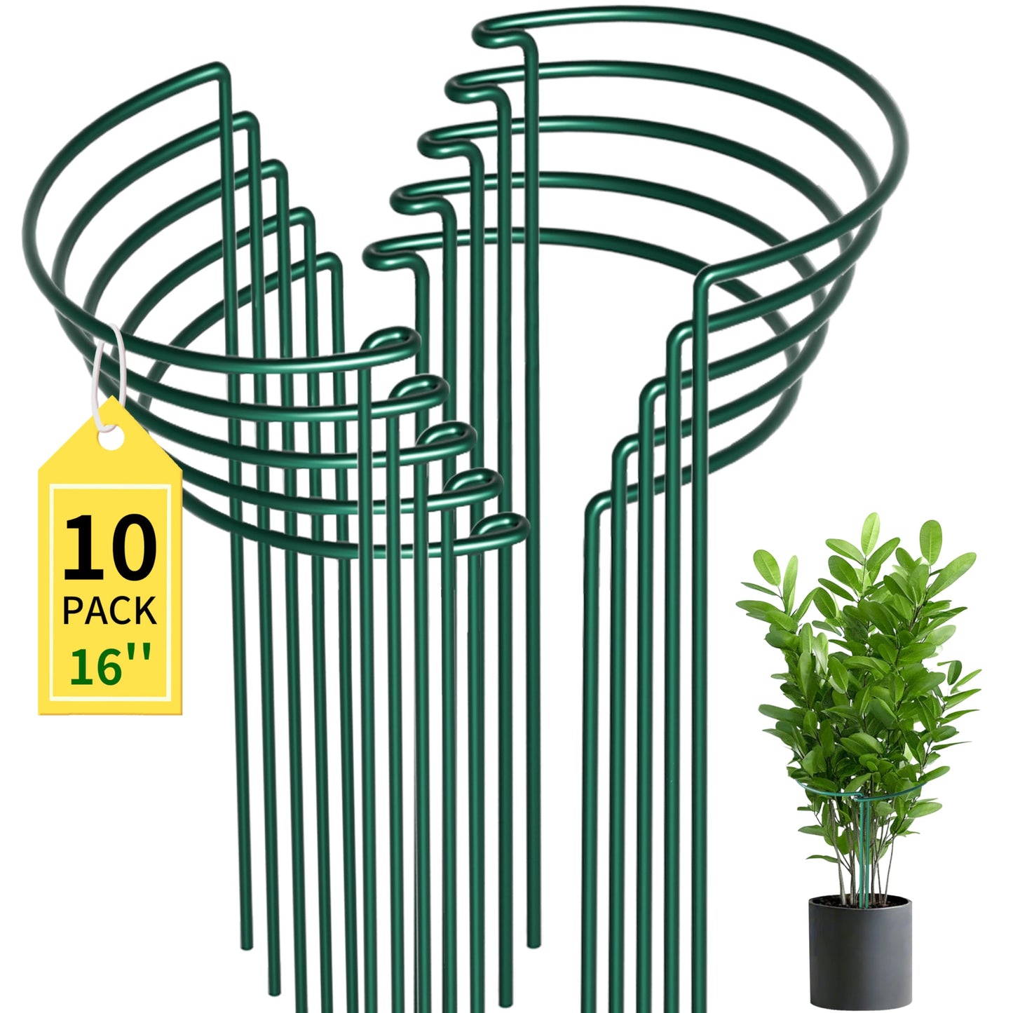 TCBWFY 10 Pack Plant Support Stakes, 10" W x 16" H Peony Cages and Supports, Heavy-Duty 4.5mm Metal Wire Garden Supports, Interlocking Garden Support Rings for Roses, Hydrangeas, Tomatoes, Vines