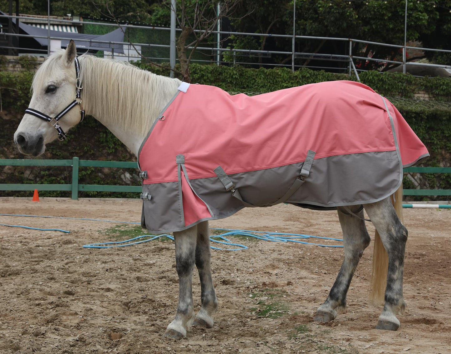 LEAFOREST 1200D Horse Blanket Waterproof Breathable Turnout (no Filling) Standard Neck Horse Sheet Pink Grey 72IN