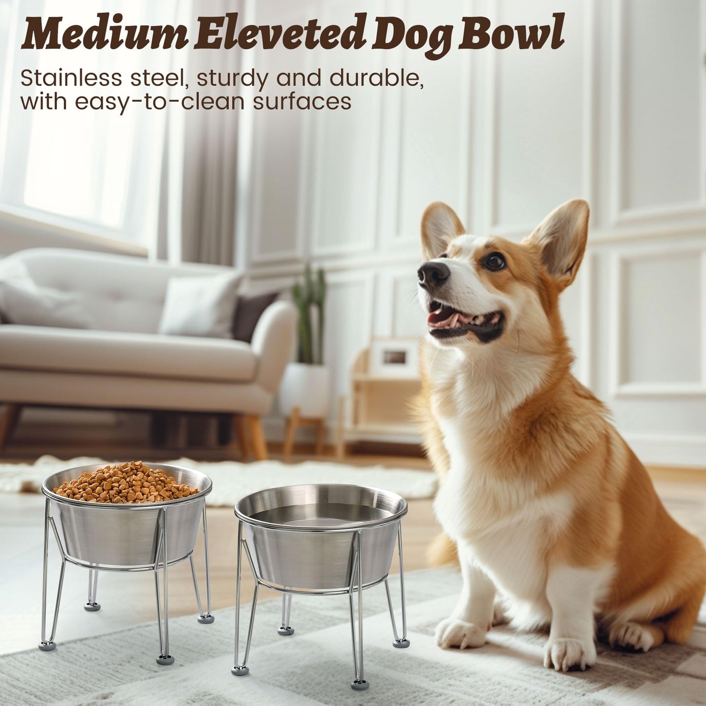 Wellbro Elevated Dog Bowls for Medium&Small Dogs - Stainless Steel 48oz/6 Cups Raised Feeder with Non-Slip Base, Dual Food & Water Bowls 2-Pack