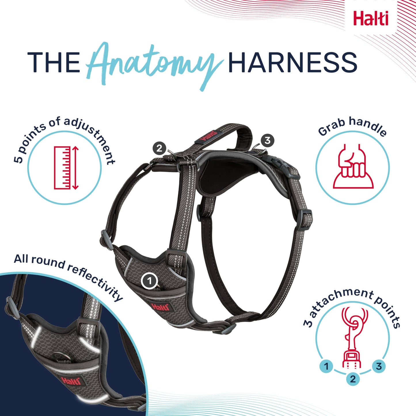 HALTI Anatomy Dog Harness with Handle - Provides Your Dog Freedom of Movement for Comfortable Walking. 3 Leash Attachment Points, Neoprene Padded, Adjustable, and Reflective (Size Large, Grey)