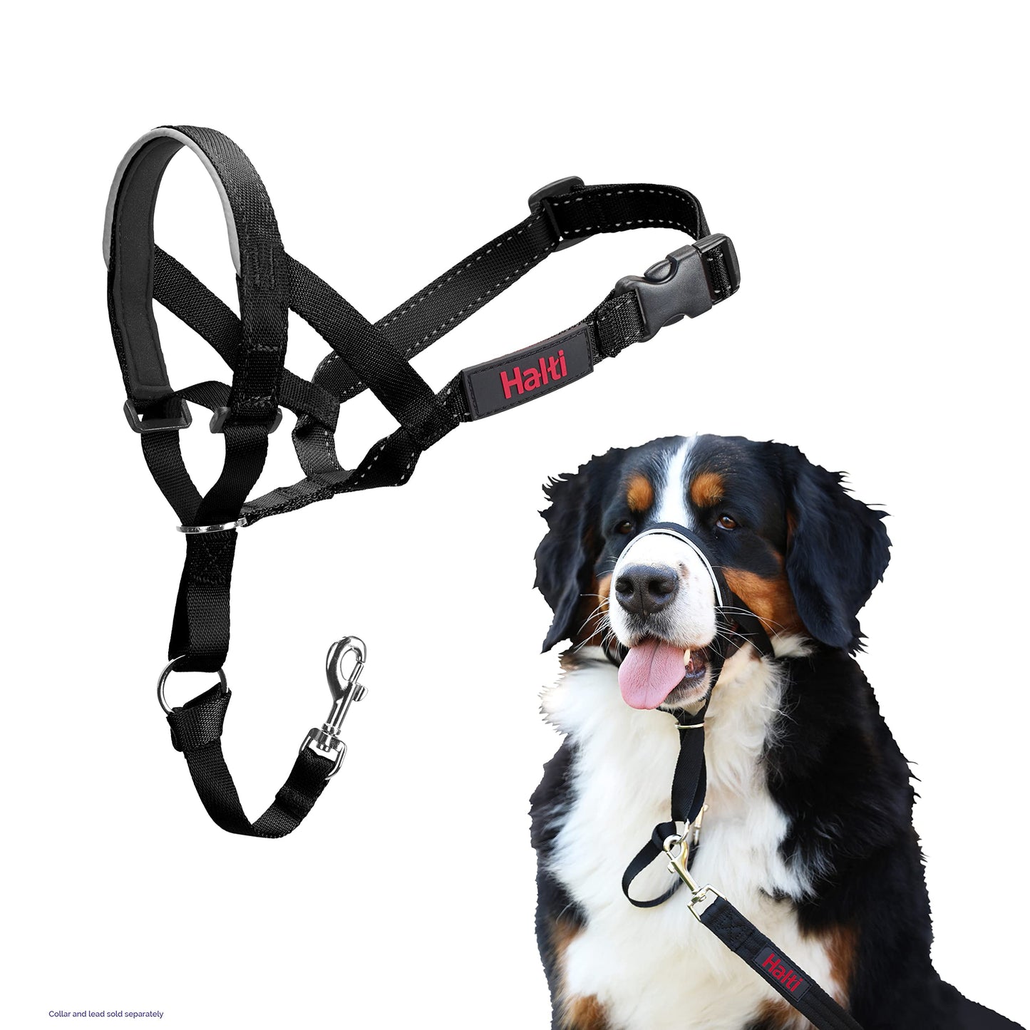 HALTI Headcollar - to Stop Your Dog Pulling on The Leash. Adjustable, Reflective and Lightweight, with Padded Nose Band. Dog Training Anti-Pull Collar for Large Dogs (Size 5, Black)