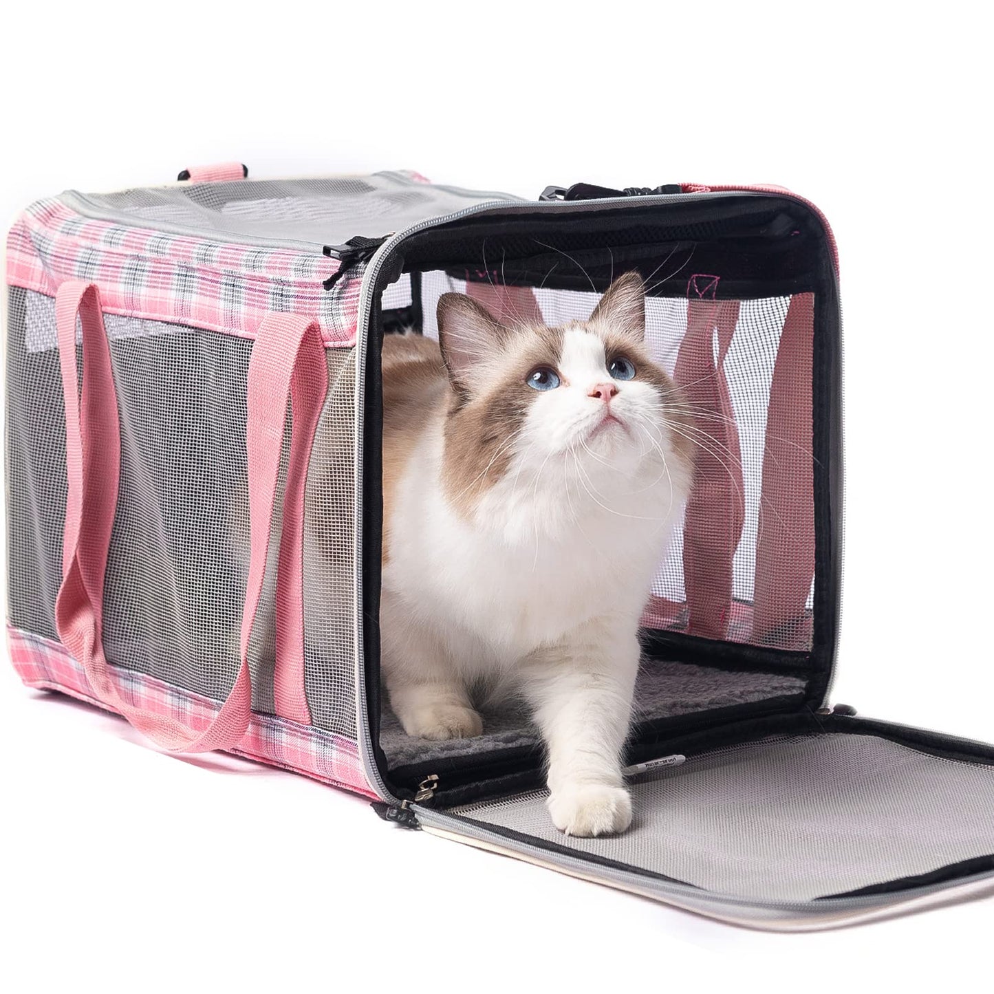 EXPAWLORER Large Cat Carrier for 2 Cats, Soft-Sided Pet Carrier for Cat,Top Load Cat Carriers for Medium Cats Under 25, Airline Approved Pet Travel Bag Fit 2 Kitties Small Dogs