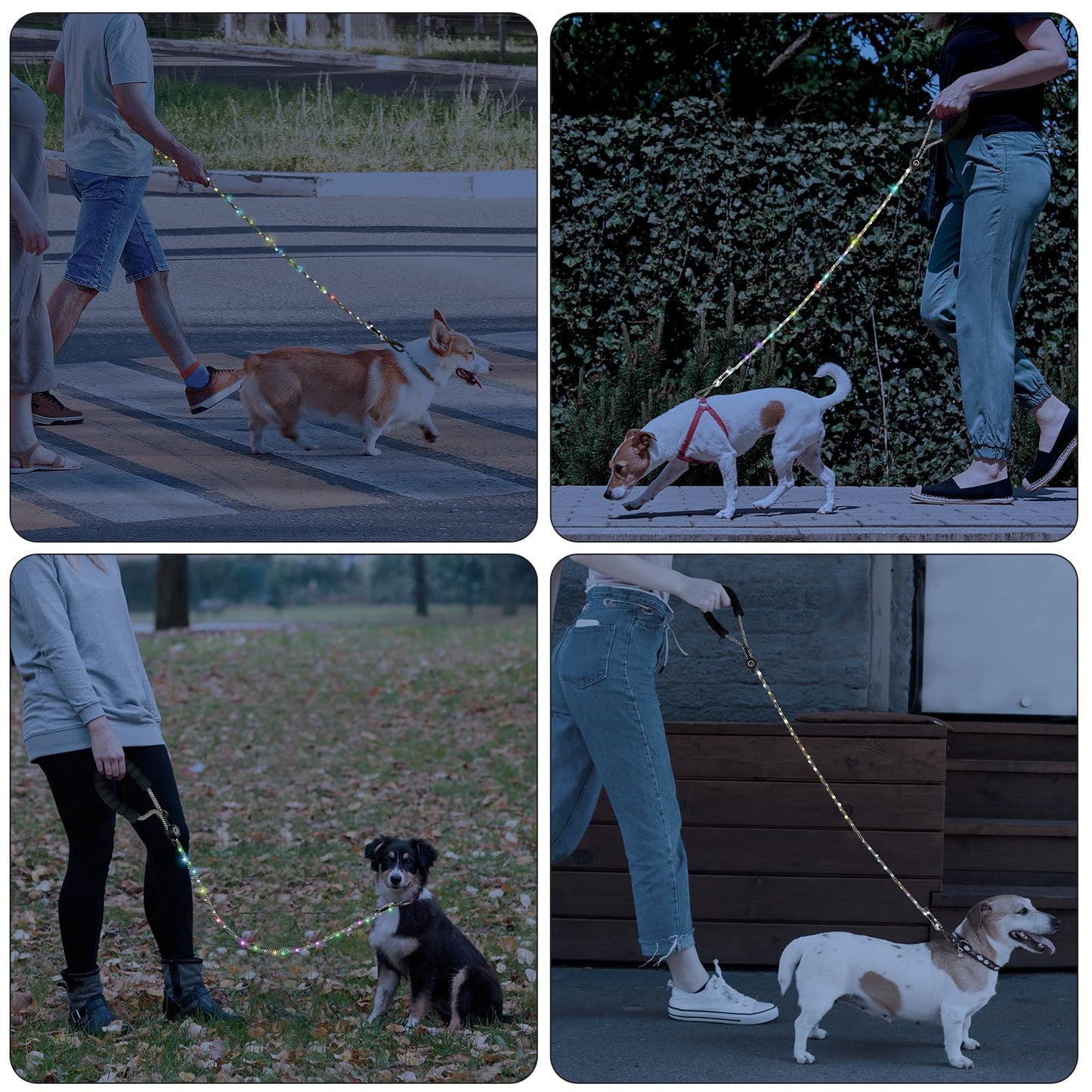 PetBonus 5 FT LED Dog Leash, Rechargeable Light Up Rope Dog Lead, 3 Lighting Modes, Thick Soft Padded Handle, Safer Night Walking for Small Medium Dogs (Black)