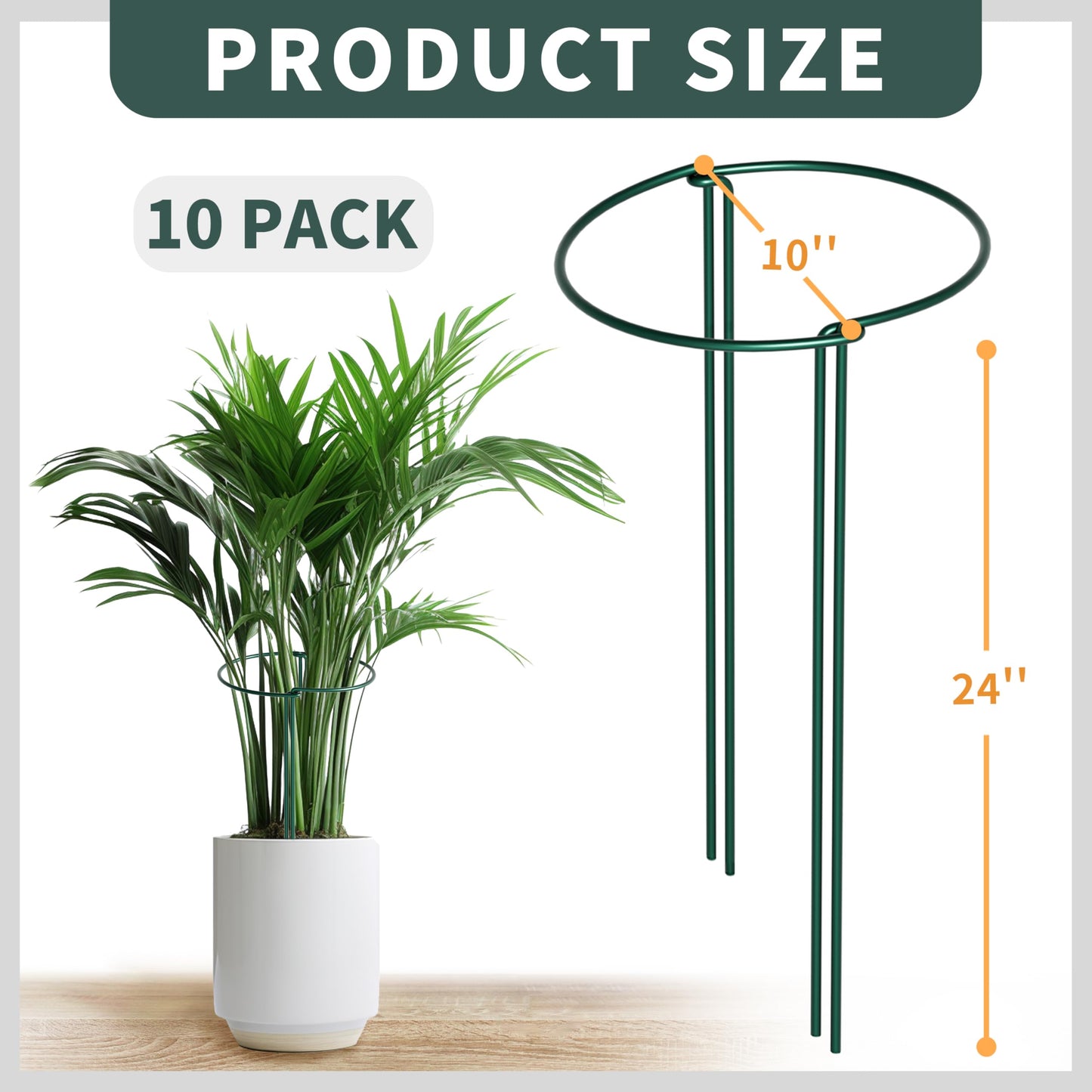 TORFICAN Peony Support Cage 24 Inch Tall, 10 Pack Heavy Duty Metal Plant Support Stakes, Rustproof Half Round Rings for Peonies, Tomatoes, Hydrangeas, Outdoor Plants,Green