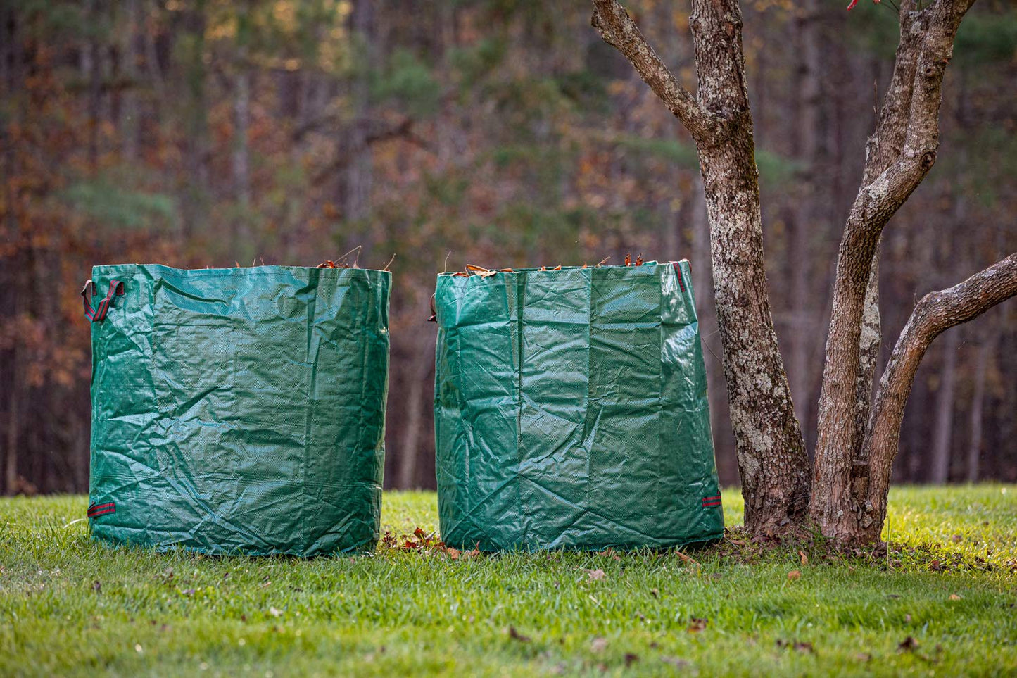 Gardzen 2-Pack 132 Gallons Garden Bag - Reuseable Heavy Duty Gardening Bags, Lawn Pool Garden Leaf Waste Bag