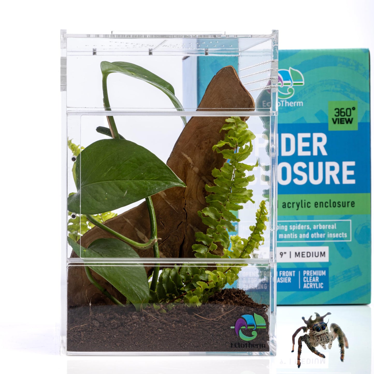 Jumping Spider Habitat and Terrarium Kit - Enclosure With Accessories for Spiders, Bugs, Insects, Snails, and Arboreal Tarantulas