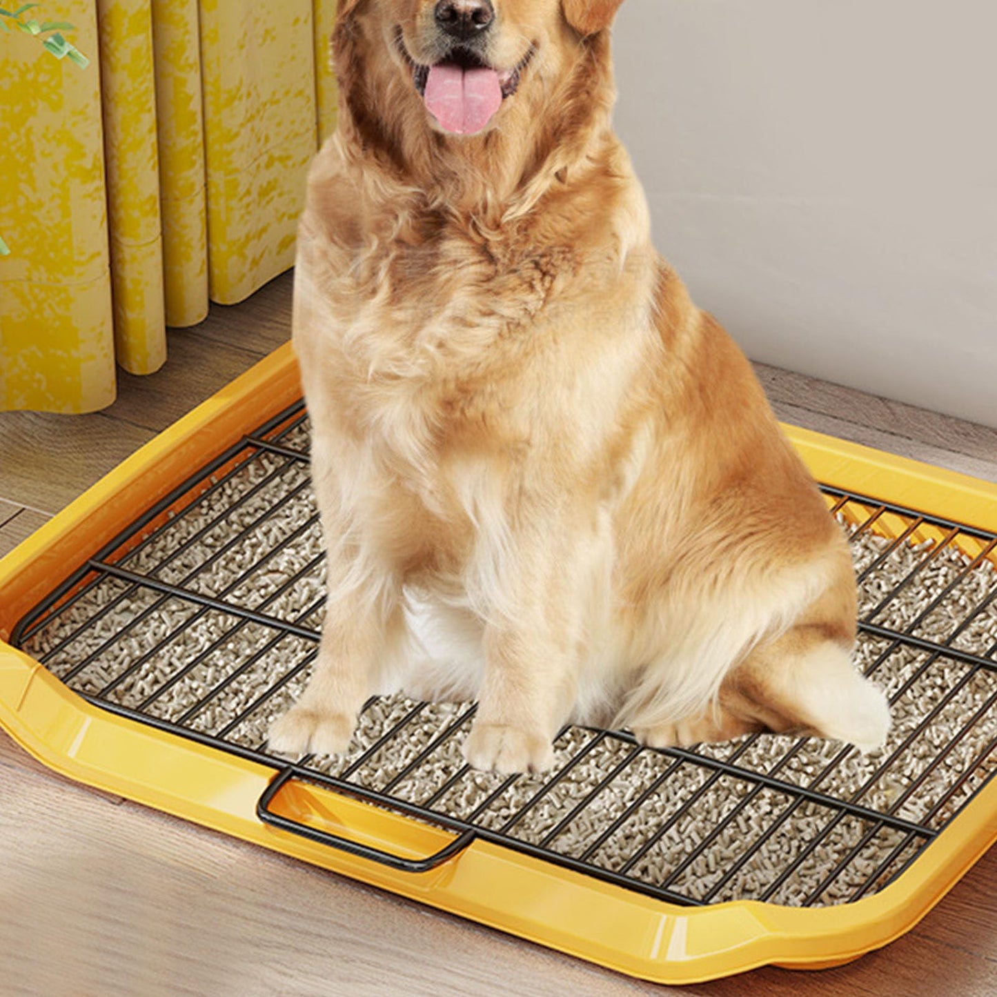 Spill Proof Dog Potty Tray, Removable Washable Training Toilet with Flat Plate Design for Small Medium Large Dogs