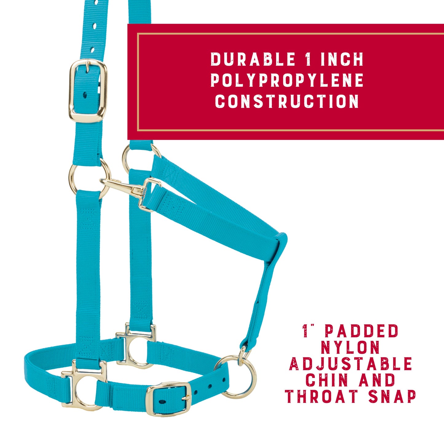 Weaver Leather 35-7436-TU Basic Adjustable Chin and Throat Snap Halter, 1-Inch Large Horse, Turquoise