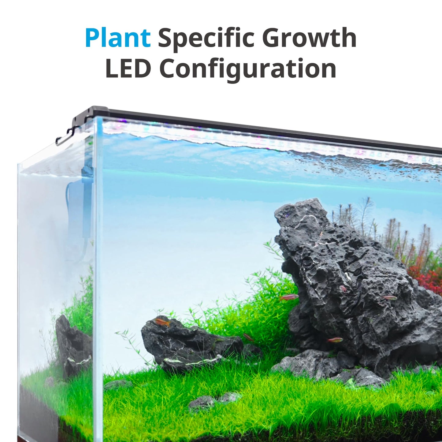 NICREW ClassicLED Plus Planted Aquarium Light, Full Spectrum LED Fish Tank Light with Timer Controller, Color Temperature Adjustable, 18 to 24 Inches, 15 Watts