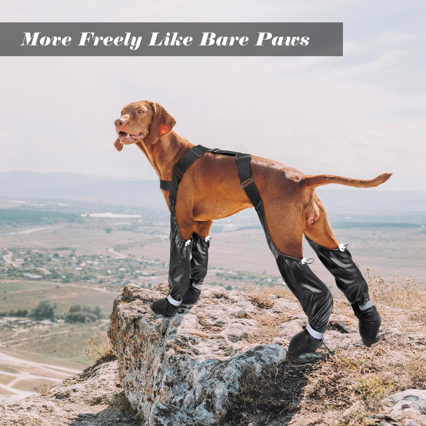 BiPawTi Dog Suspender Boots, Reflective Paws Dog Boots for Night-Walk Safety, Suspender Booties for Hot Pavement/Snow Walks, Anti-Lost/Anti-Slip Shoes, Leg/Paw Protectors for Large Dogs - XXL