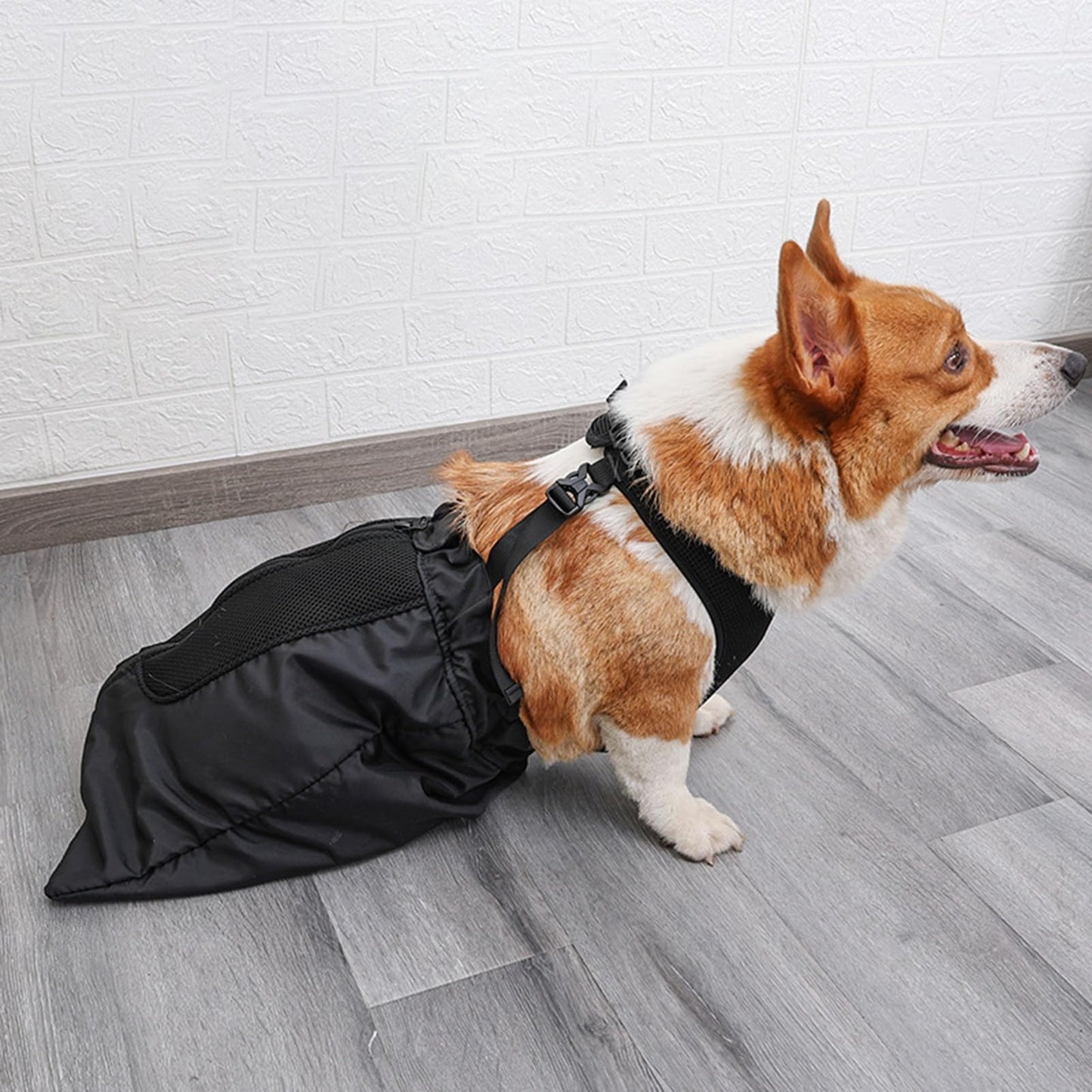 Drag Bag for Paralyzed Pets, Indoor Dog Wheelchair Alternative for Disabled Back Rear Legs Dog, Protects Chest and Limbs, Durable Nylon Breathable and Comfortable (XL)